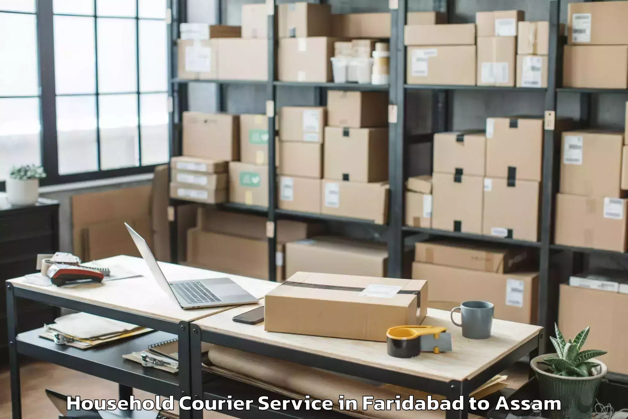 Book Faridabad to Rangapara Household Courier Online